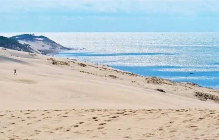 Дюна дю Пила: откуда во Франции с её морским климатом взялась пустыня?