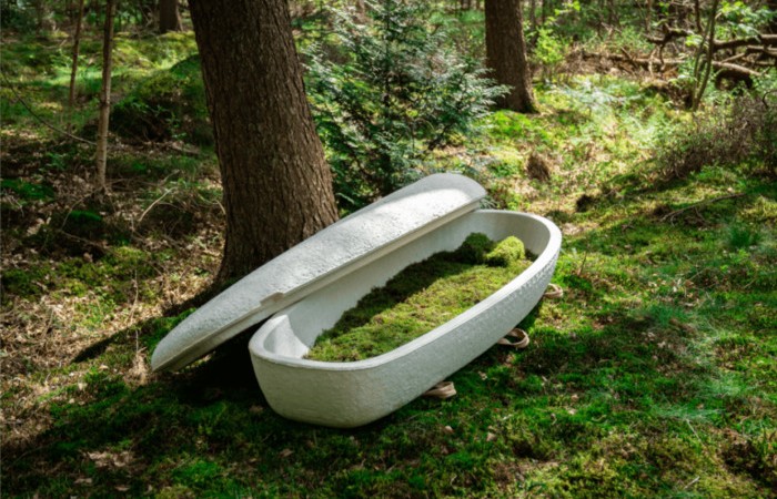 Экологичная загробная жизнь, или как нидерландский стартап разработал биоразлагаемый гроб