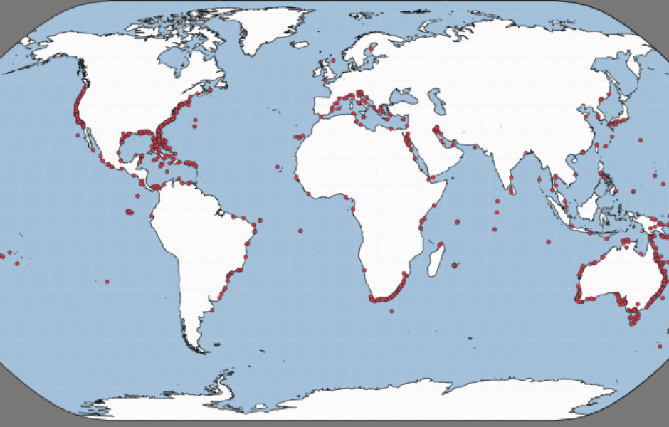 Карта районов, где нападают акулы