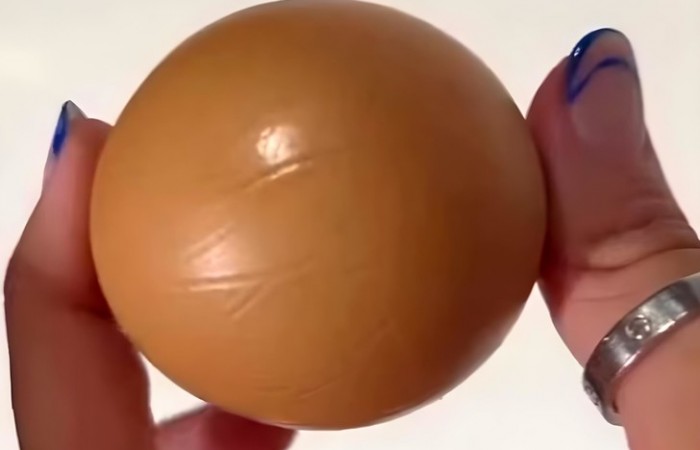 Одно на миллиард: австралийка нашла куриное яйцо, которое стоит почти 1000 долларов