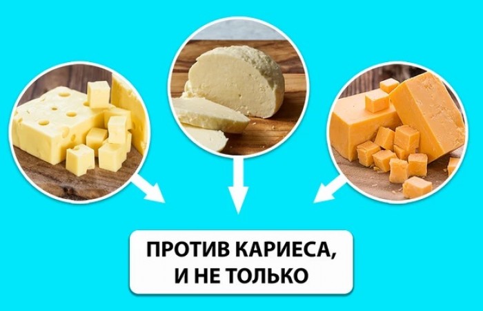 Какой сыр никогда не портится, и еще 44 малоизвестных факта об этом молочном продукте