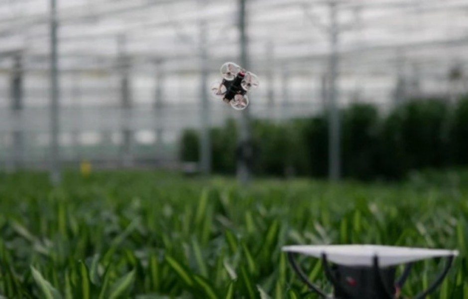 Голландцы создали дроны против вредных насекомых
