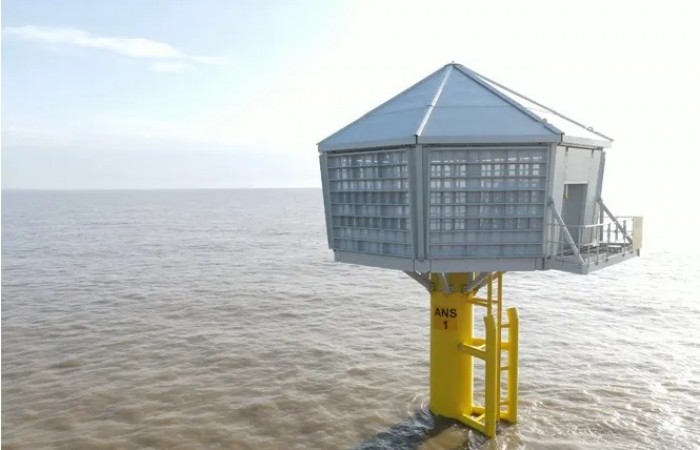 ]У побережья Великобритании появились «мегаскворечники» — искусственные жилища для редких морских птиц