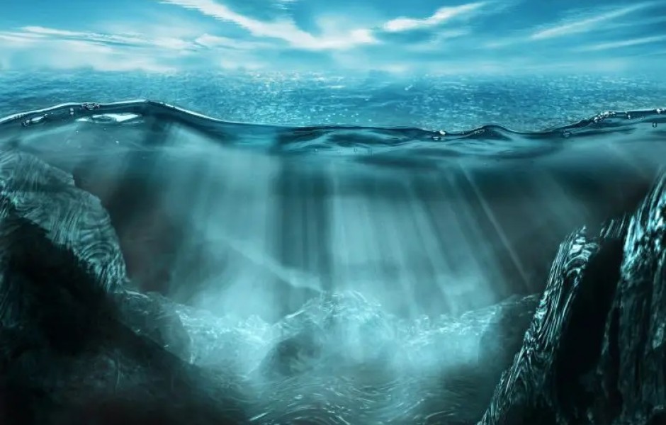 Древние глубоководные обитатели: окаменелости возрастом 104 миллиона лет раскрывают прошлое океана