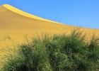 Учёные выяснили, когда и почему Сахара была зелёной