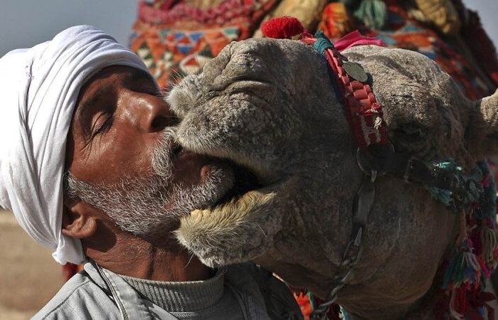 6 удивительных традиций поцелуев из разных уголков планеты