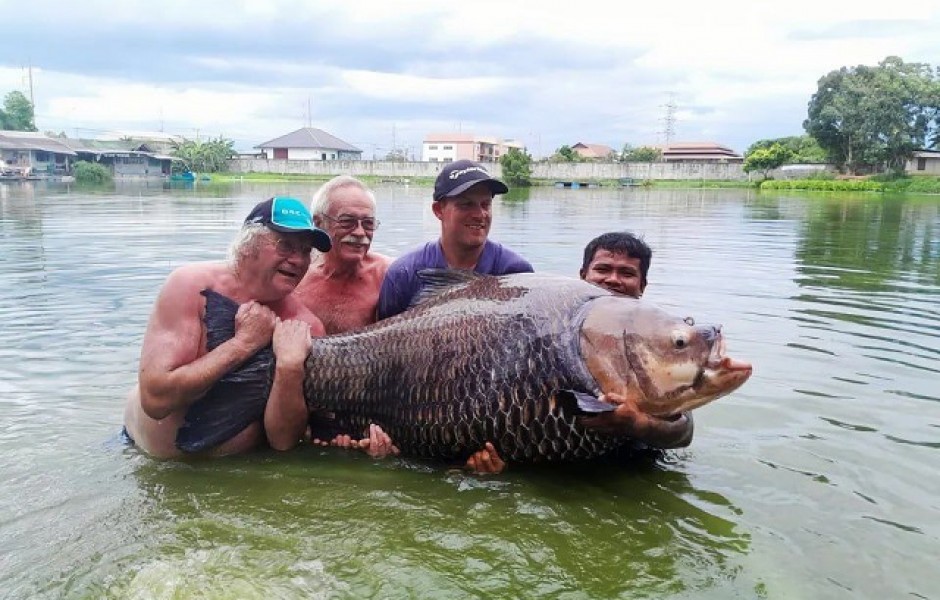 В Таиланде рыбак поймал самого большого в мире карпа (3 фото)