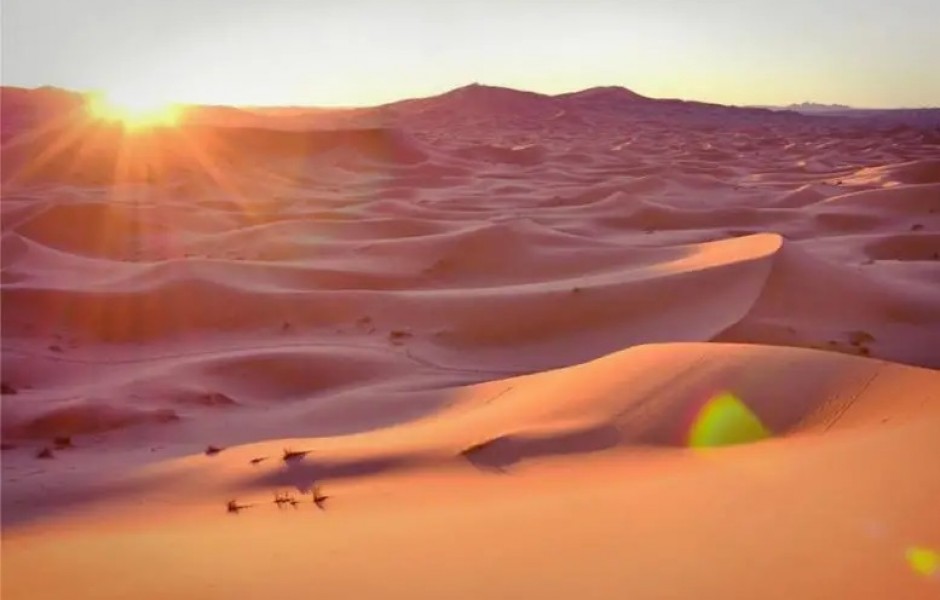 Раскрывая секреты Сахары: Древняя цивилизация процветала в пустыне