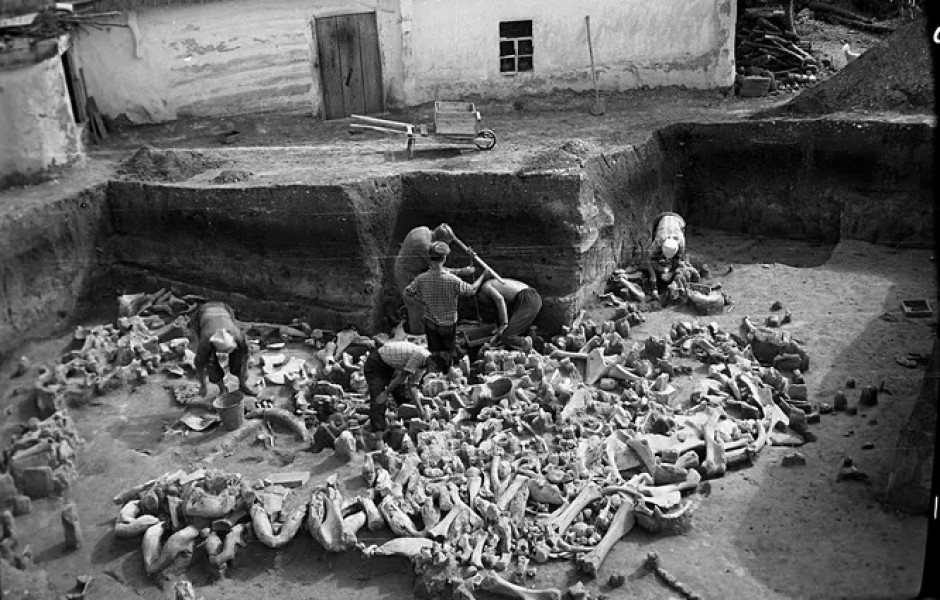 Загадочные артефакты и кости: тайны древних народов, живших на Сунгирской стоянке