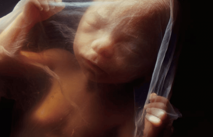 Чудо рождения: удивительный процесс появления новой жизни на свет