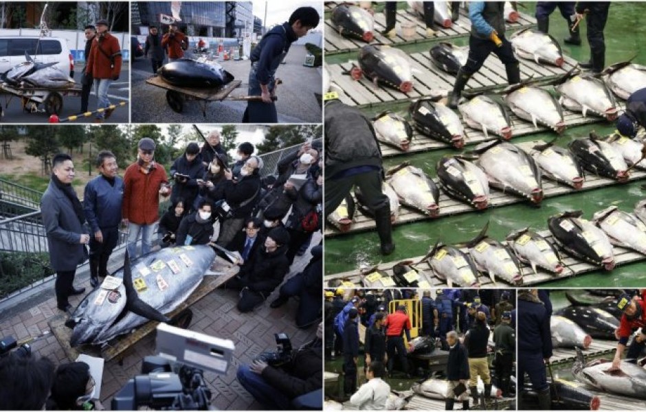 На первом в этом году аукционе гигантского тунца продали почти за $800 тыс