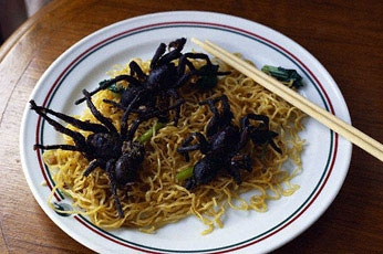 12 самых вкусных блюд из насекомых