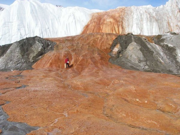 Красный водопад в Антарктиде (9 фото)