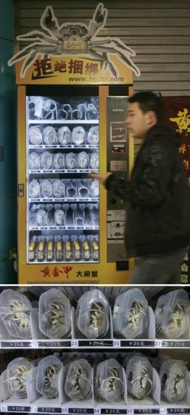 10 самых необычных торговых автоматов (10 фото)