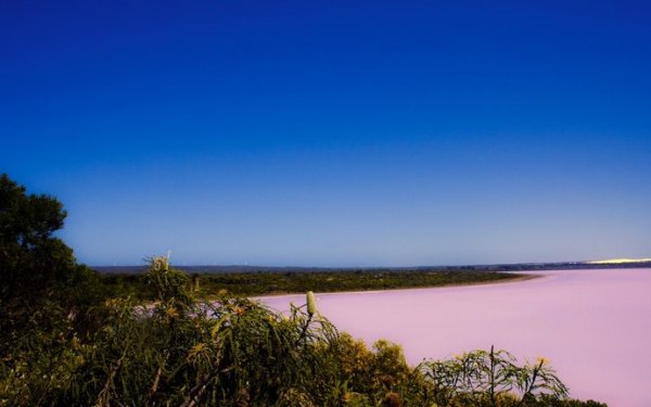 Розовое озеро на острове Миддл (10 фото)