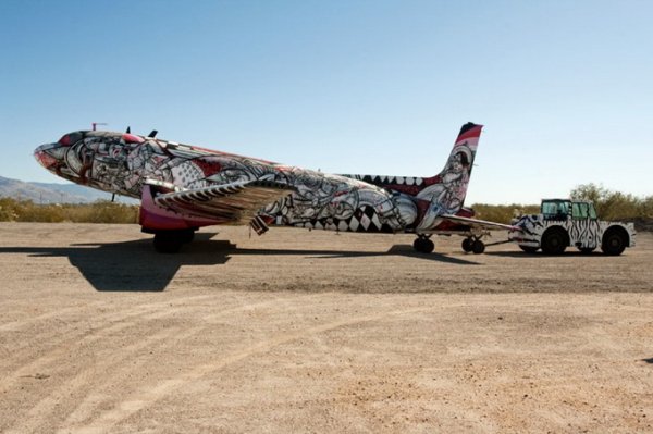 Выставка расписных самолетов (14 фото)