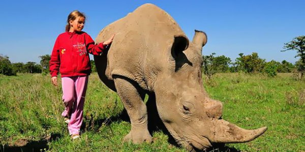 У девочки из Кении домашнее животное – дикий носорог