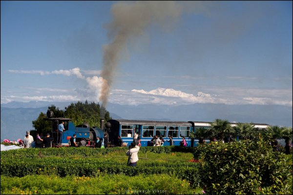 Узкоколейка с действующими паровозами в Гималайских горах (13 фото)