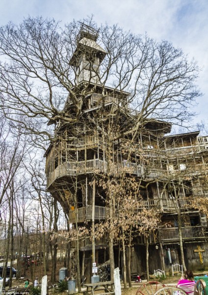 Самый высокий деревянный дом в мире (9 фото)