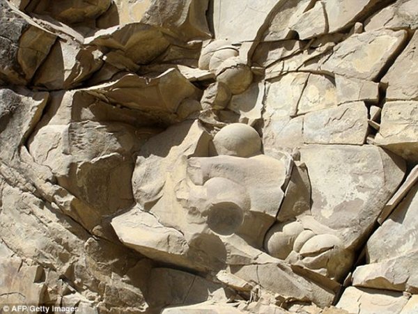 Геологи Чечни обнаружили древние яйца динозавров (2 фото)