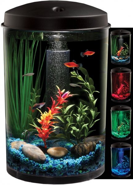 Стильные аквариумы (10 фото)
