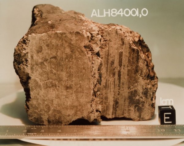 В марсианском метеорите нашли останки древней жизни