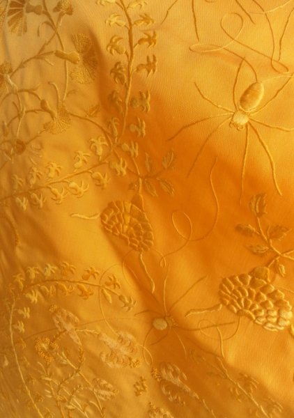 Золотое платье из шёлка паука (8 фото)