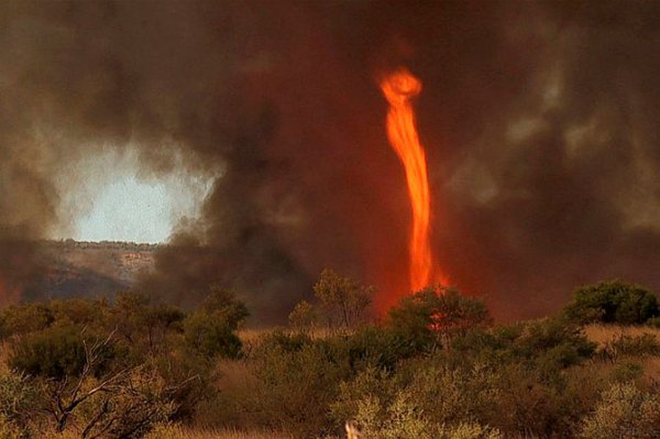 Огненный торнадо в Австралии (12 фото + видео)