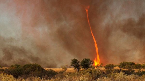 Огненный торнадо в Австралии (12 фото + видео)
