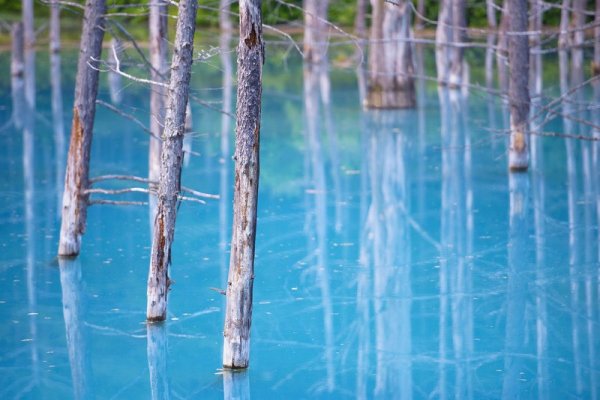 Хоккайдо голубой пруд в Японии (6 фото)