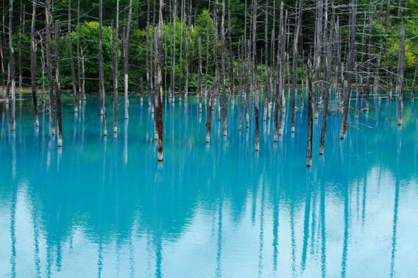 Хоккайдо голубой пруд в Японии (6 фото)