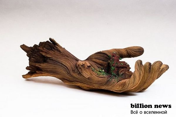 Скульптуры из дерева от Кристофера Дэвида Уай (14 фото)