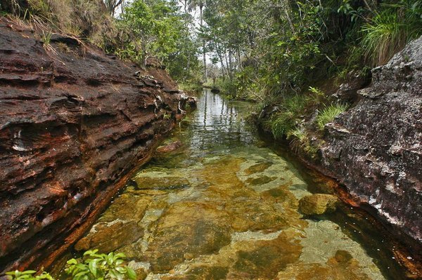 Радужная река в Колумбии (30 фото)