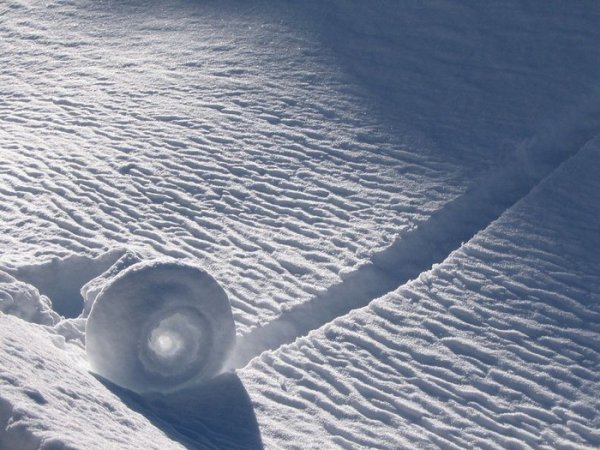 Ветряные проделки: снежные рулоны - зимний природный феномен (6 фото)