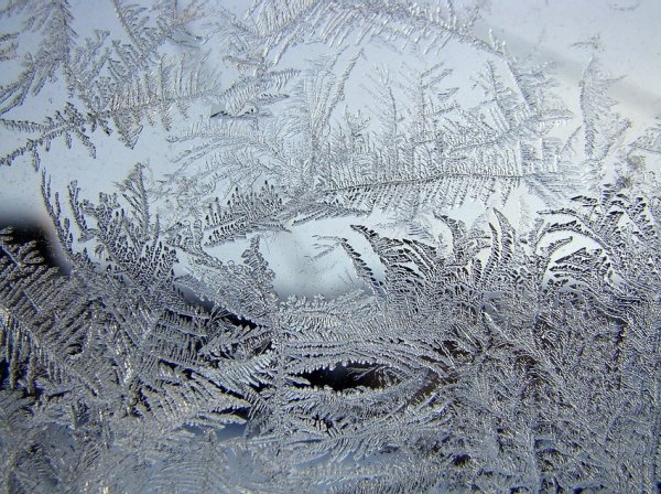 Зимнее волшебство на стекле (12 фото)