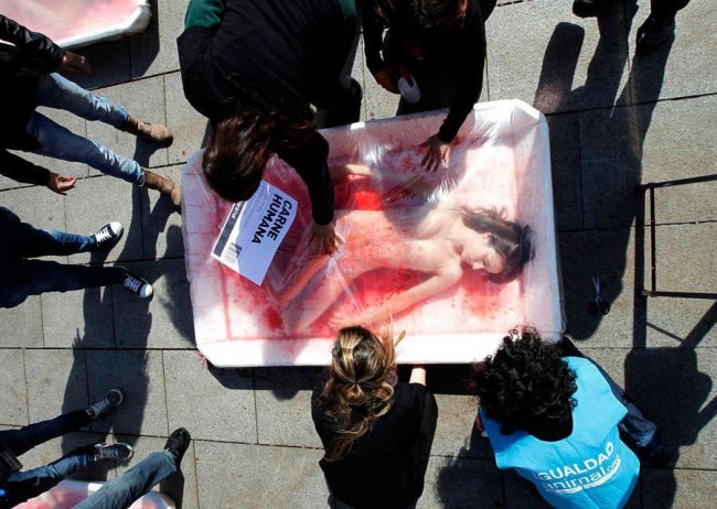 Каталонцы выступили против убийства животных (6 фото)