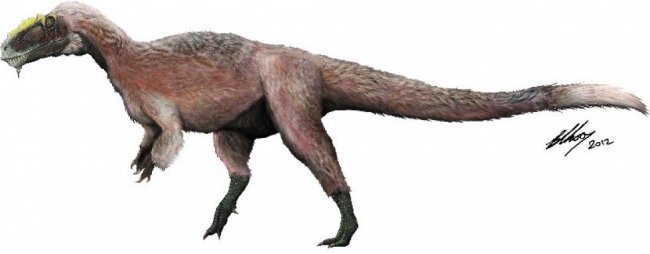 В Китае найдены окаменелости оперенного тираннозавра (3 фото)