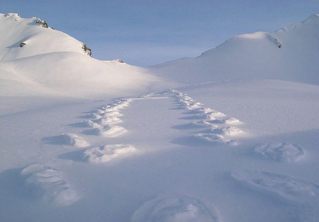 Снежные следы навыворот (15 фото)