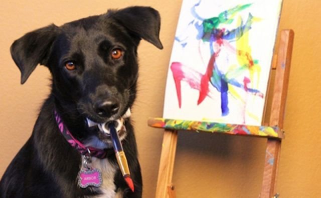Пёс Арбор рисует картины для благотворительного фонда (8 фото)