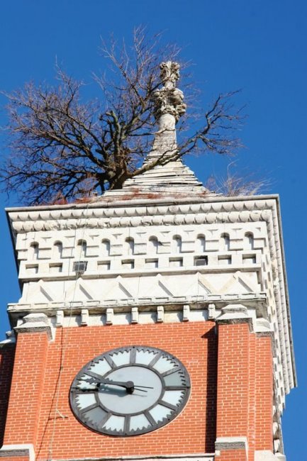 Дерево Гринсбурга, растущее из крыши башни здания суда (5 фото)