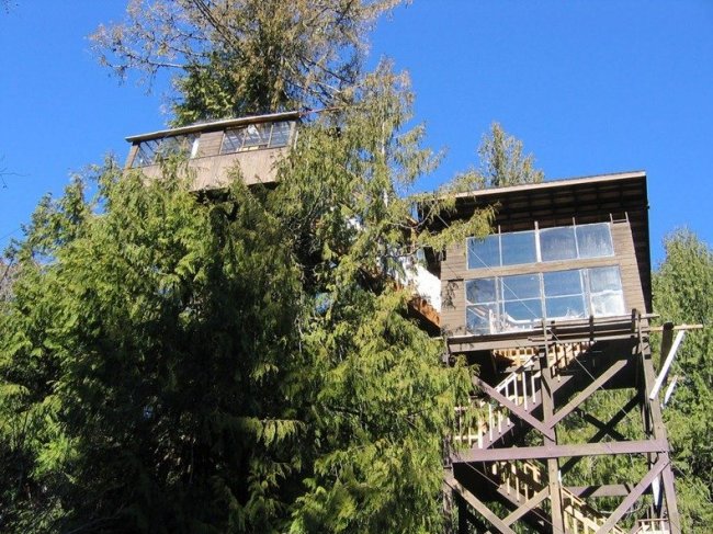 4 Самых удивительных в мире отеля на верхушках деревьев (10 фото)