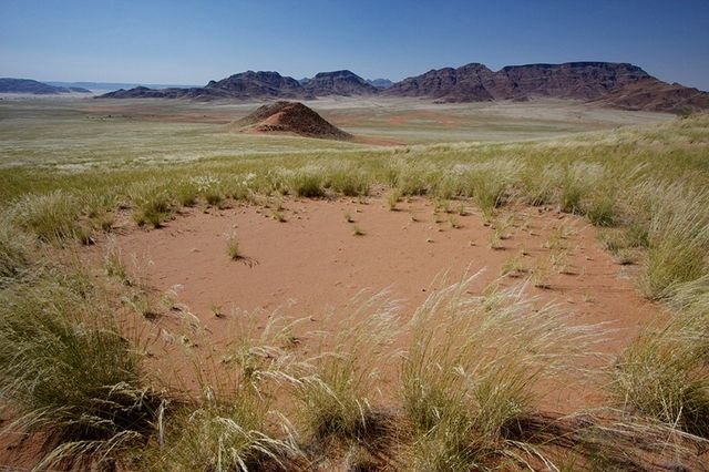 Необычные круги Фей в Намибии (9 фото)