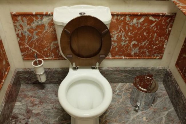 Шикарный московский туалет (7 фото)