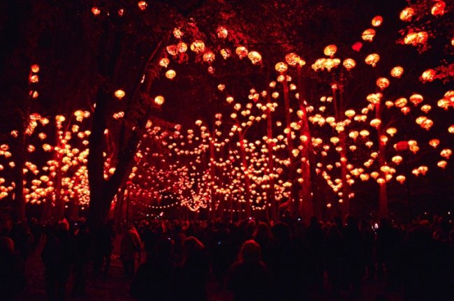 Фестиваль света во Франции (25 фото)