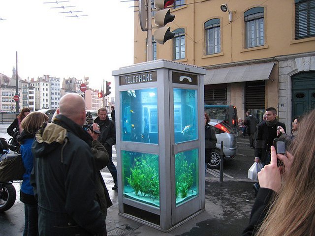 Аквариумы с экзотическими рыбками – из телефонных будок (9 фото)