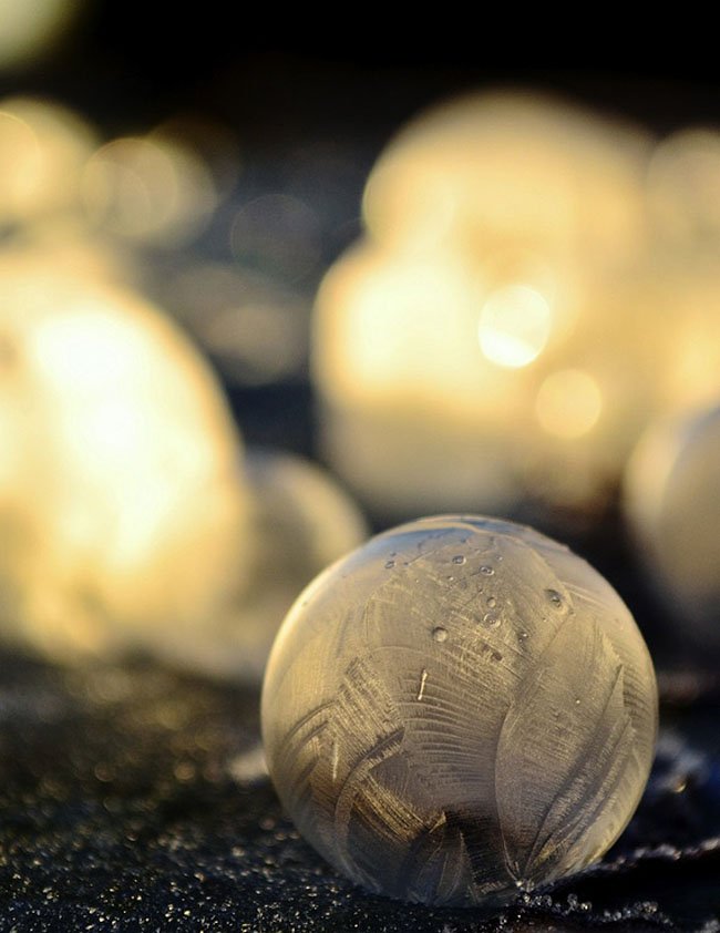 Замерзшие мыльные пузыри от Анжелы Келли (10 фото)