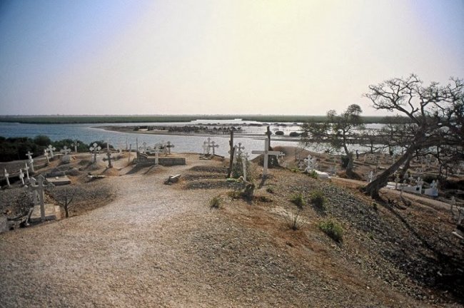 Остров из ракушек в Сенегале (8 фото)