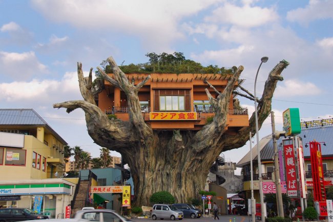 Уникальный ресторан на дереве (3 фото)