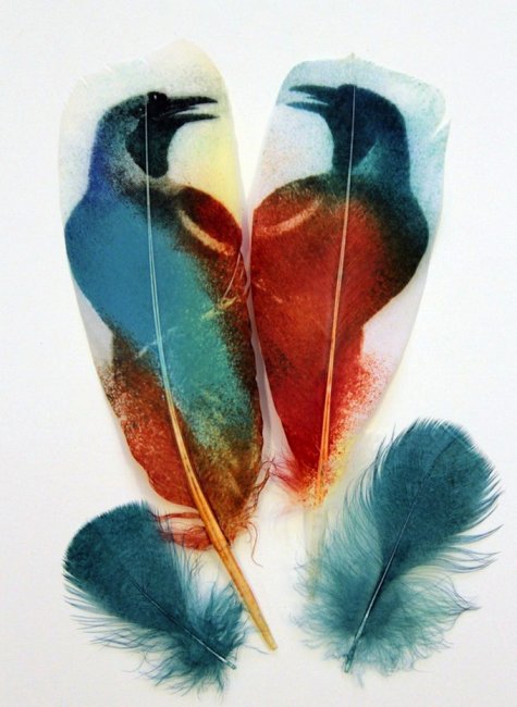 Искусство рисования на птичьих перьях (10 фото)