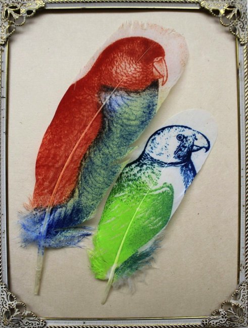 Искусство рисования на птичьих перьях (10 фото)